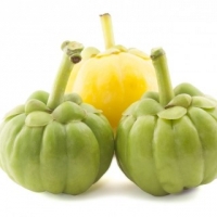 Garcinia Cambogia