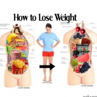 Http://weightlosswebhelpguideinfo/diet  -  Plans/