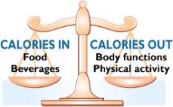 Calorie Shifting or Calorie Counting?