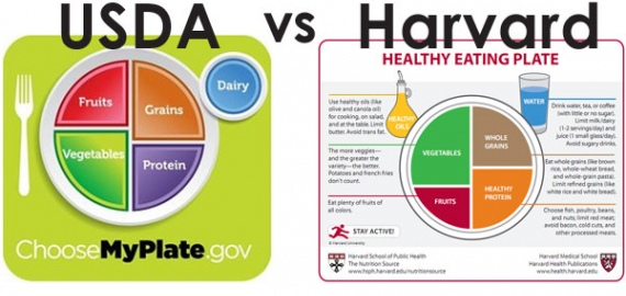 Harvard versus USDA: Whose Plate Wins?