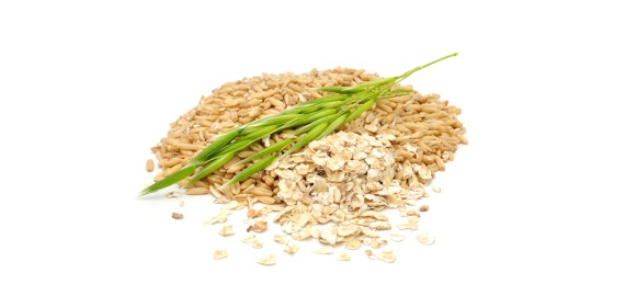 Oat: Food of the Month