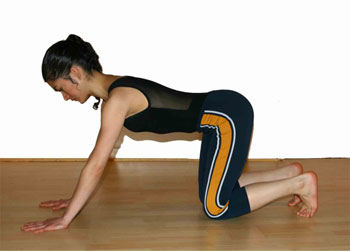 Quadruped To Pushup – Pilates Exercise Guide with Photos