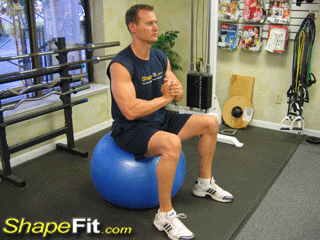 Isometric Chest Press on Exercise Ball – Instructional Guide