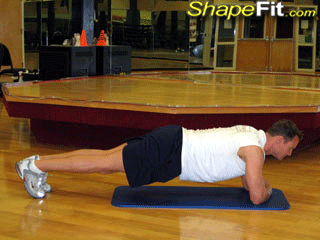 Prone Bridge – Core Exercise Guide with Photos