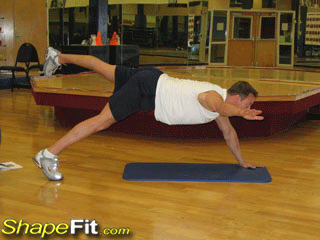 Prone 2 Point Bridge – Core Exercise Guide with Photos