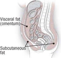 Taking aim at belly fat