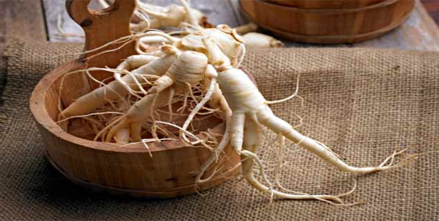 How to use ginseng for weight loss