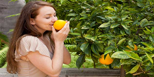 Oranges:A Tangy Way to Lose Weight