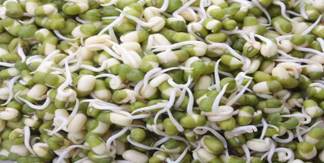 Sprouted Moong Dal Salad: Weight Loss Recipe