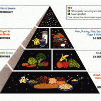 Low-Carb Diets and the Food Pyramid