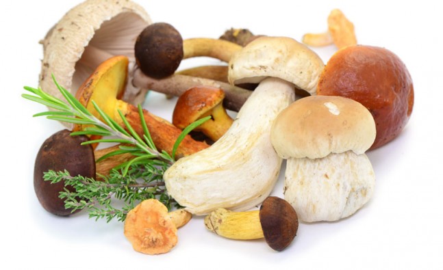 Crazy celeb diet “tricks”: The mushroom diet