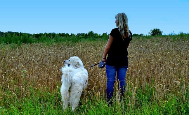 Adopt a furry friend to drop weight and shape up