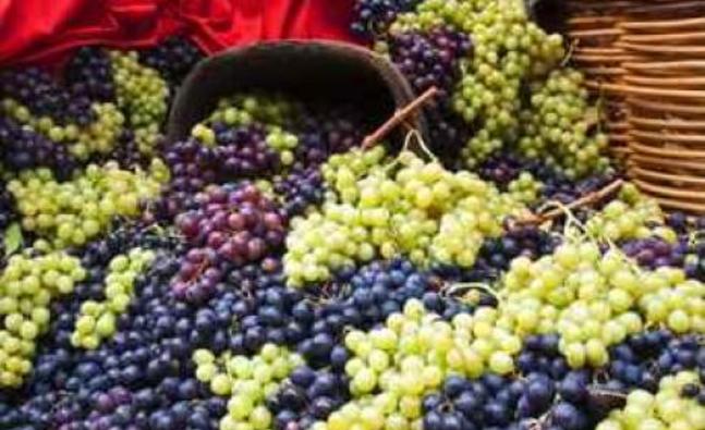 Are grapes good for weight loss?