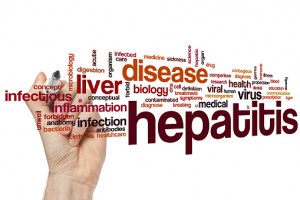 Hepatitis liver inflammation reduced by specific immune cells