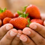 Health Benefits of Strawberries – Summer’s Super Fruit.