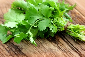 FDA: cilantro temporarily banned due to cyclosporiasis outbreak