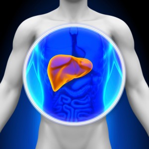 Enlarged liver (hepatomegaly) from fatty liver disease or inflammation leads to swelling, fatigue, and weakness