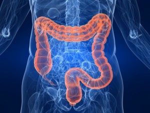 IBS vs. IBD: Causes, symptoms, risk factors, and complications