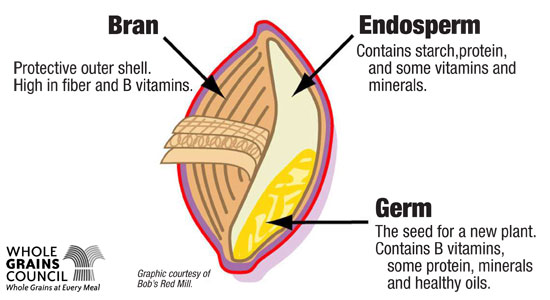 Healthy Living 101: Understanding Whole Grains