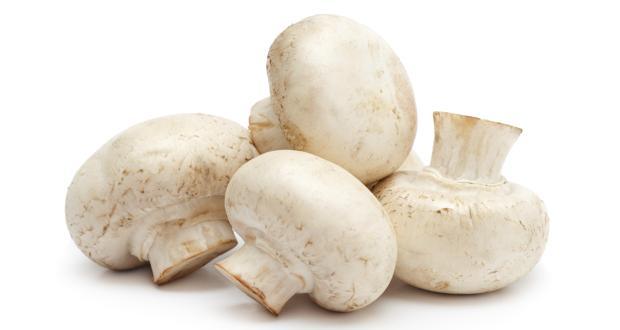 8 reasons why mushrooms are good for health