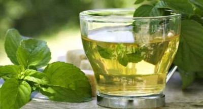 Fitness Plan Day 187: Rejuvenate yourself with a cup of green tea in the morning