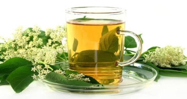 How green tea can help you beat cravings and lose weight