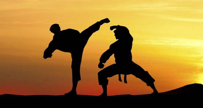 Can practising martial arts help you lose weight?