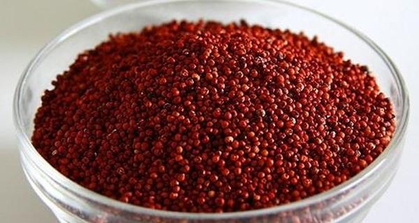 10 reasons why eating ragi or nachni is a great idea