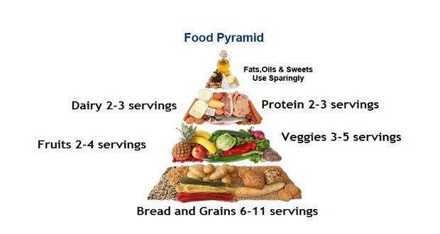 The food pyramid – the secret to eating healthy and losing weight!