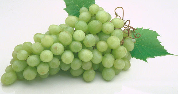 Healthy recipes: Grapes and walnut dip