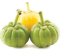 Optimizing the Benefits of Garcinia Cambogia